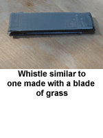 Grass Blade Whistle